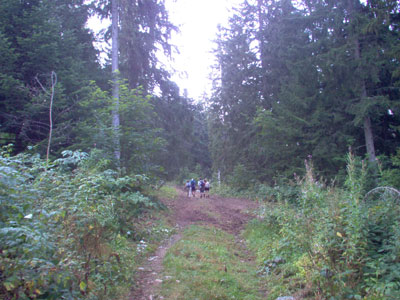 Départ en forêt