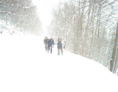 La neige sur la Croix de l'Alpe