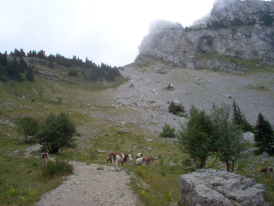 Vers le col de l'Arc