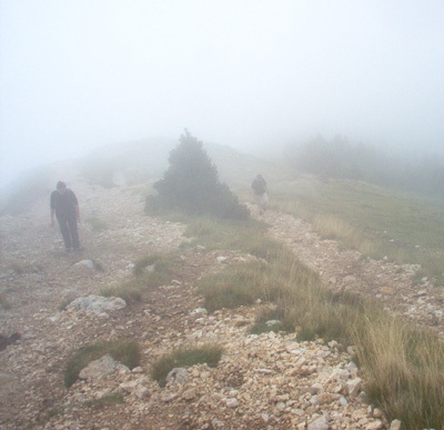 Brume au sommet