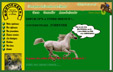 Materiels et vetements pour cavalier et cheval